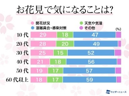 お花見で気になることは?